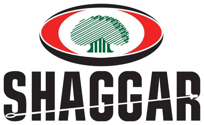 Shaggar City Tourism
